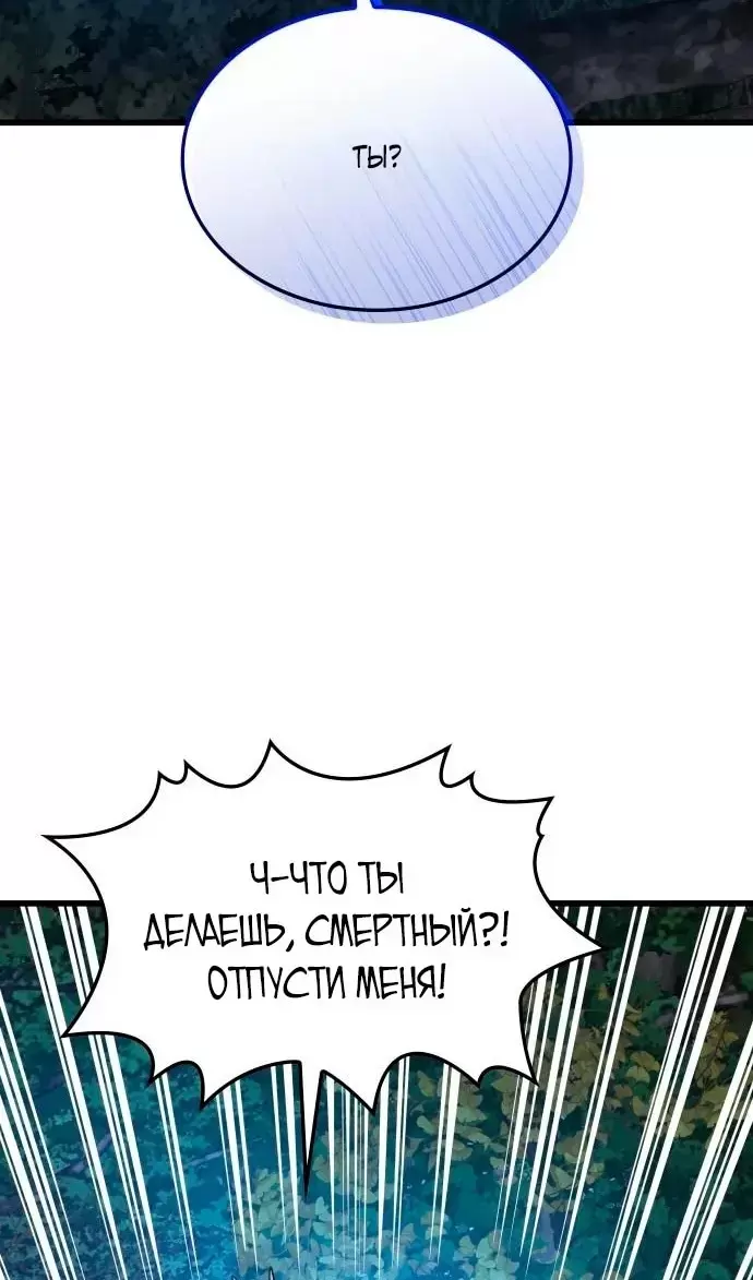 Страница 117
