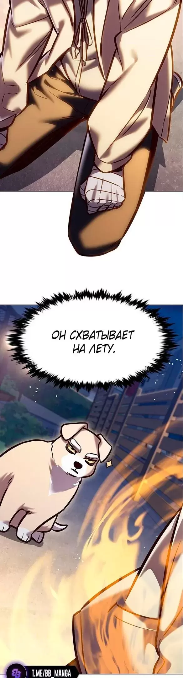 Страница 49