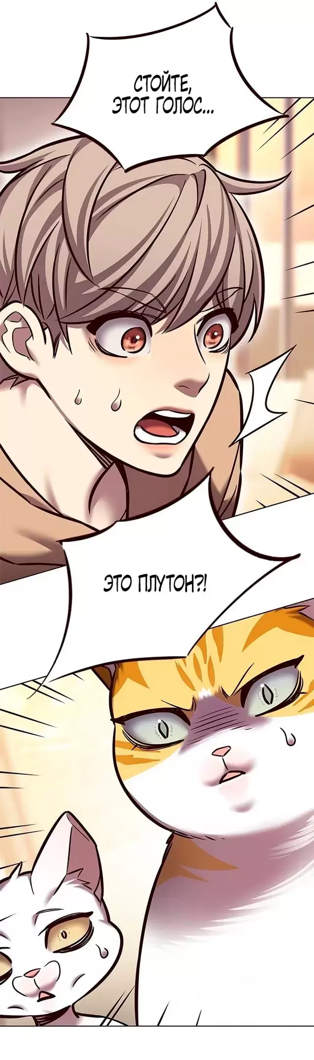 Страница 62