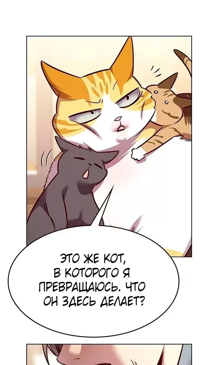 Страница 105