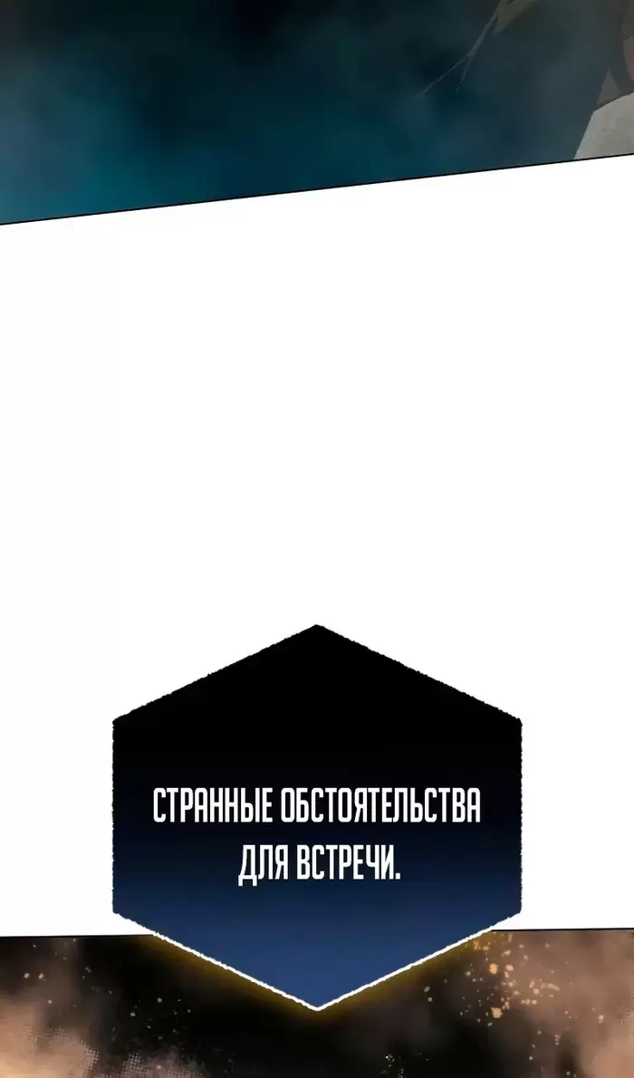 Страница 117