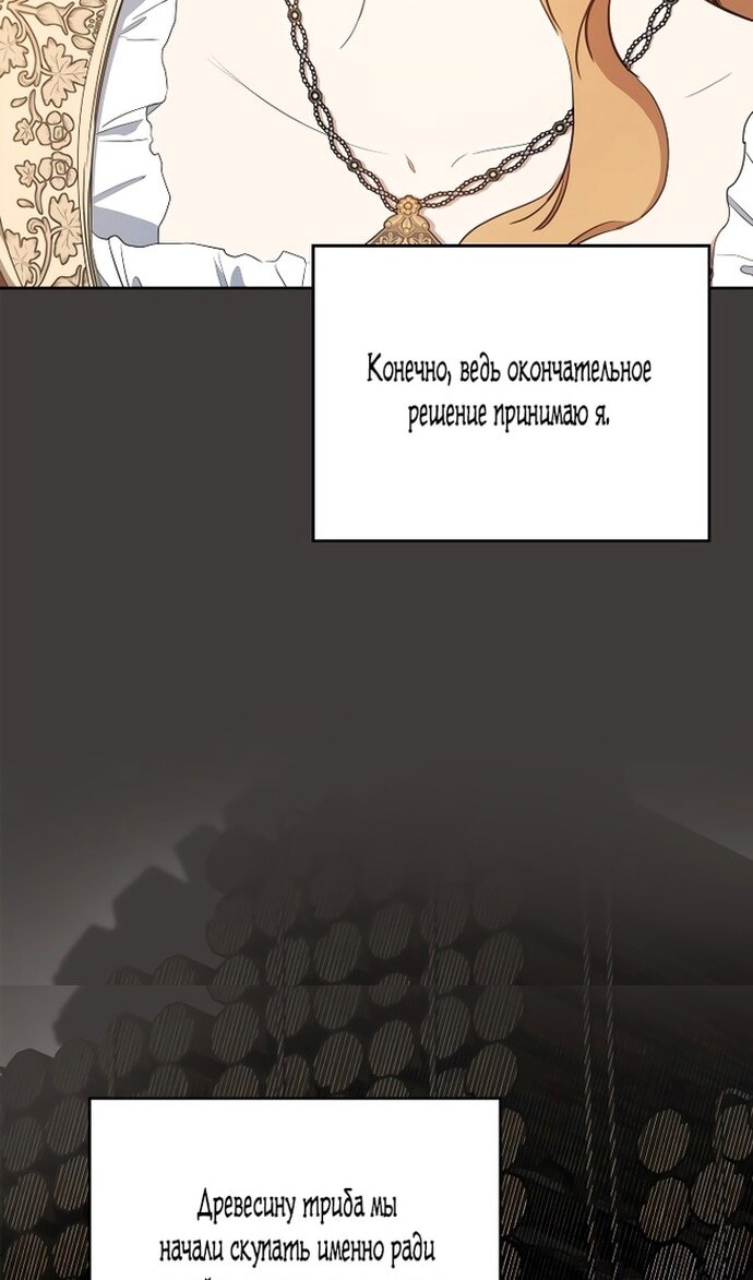 Страница 111
