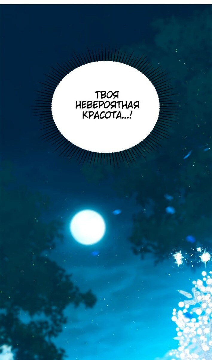 Страница 117