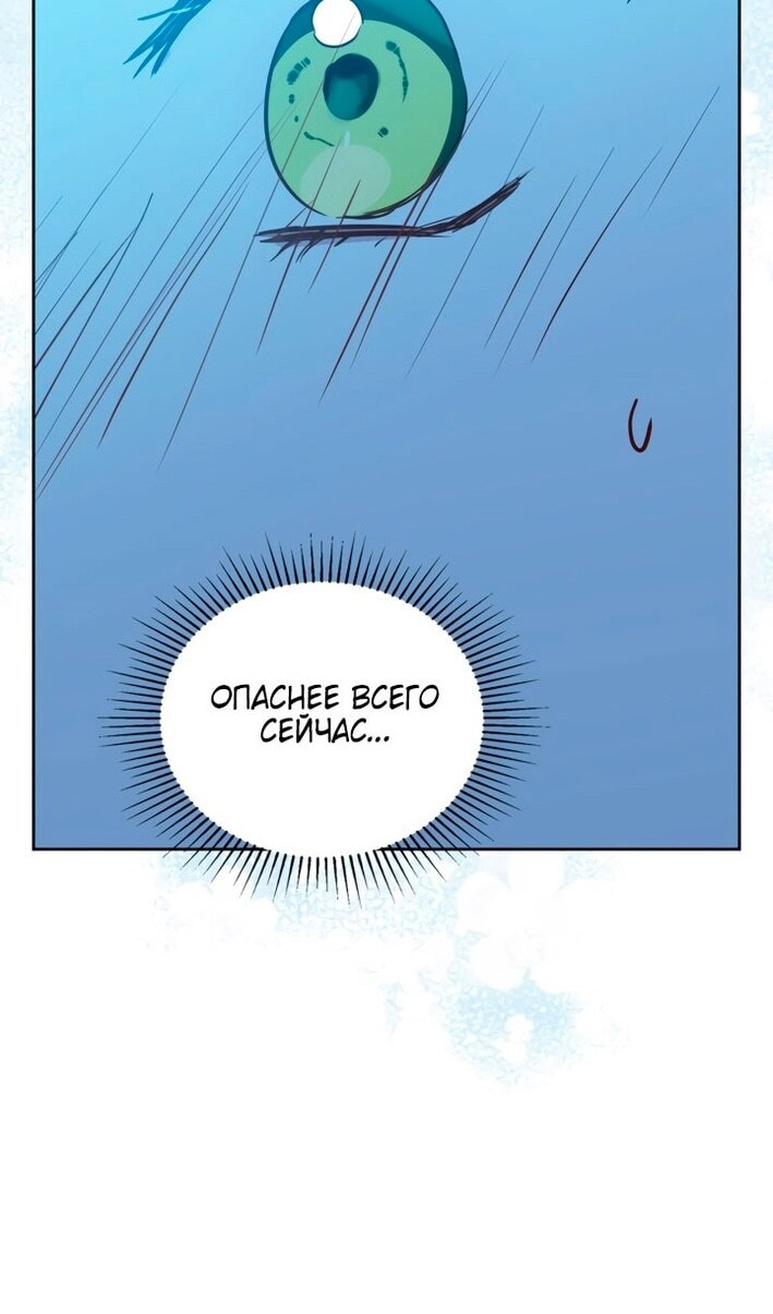 Страница 116