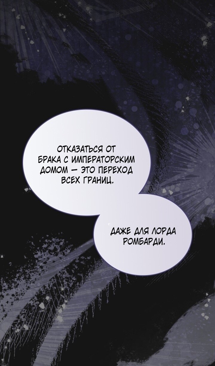 Страница 119