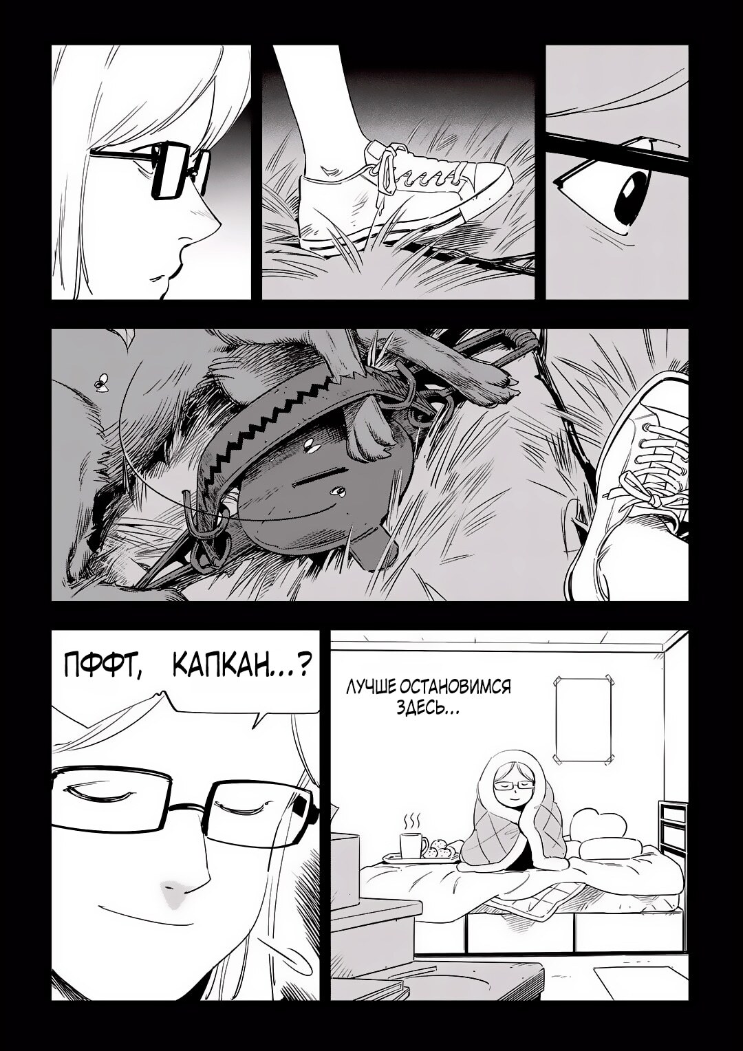 Страница 5