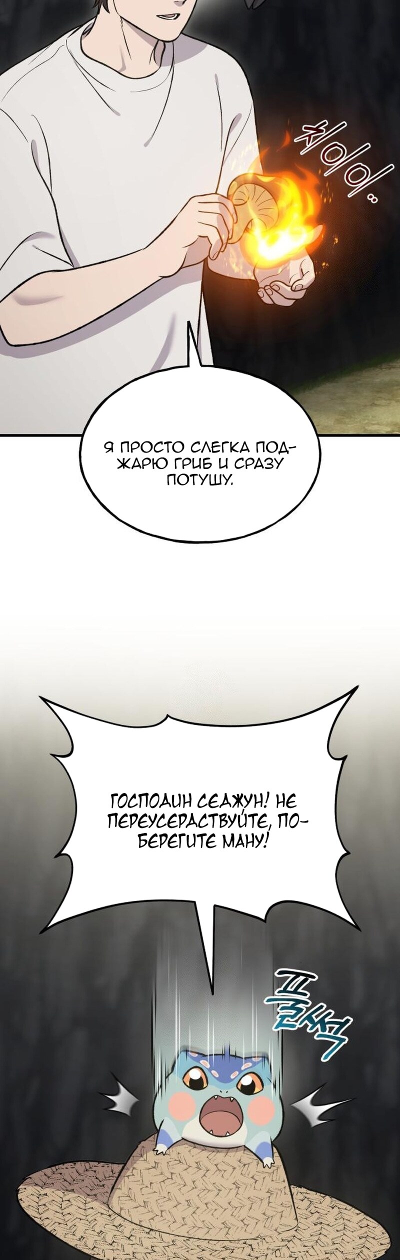 Страница 53