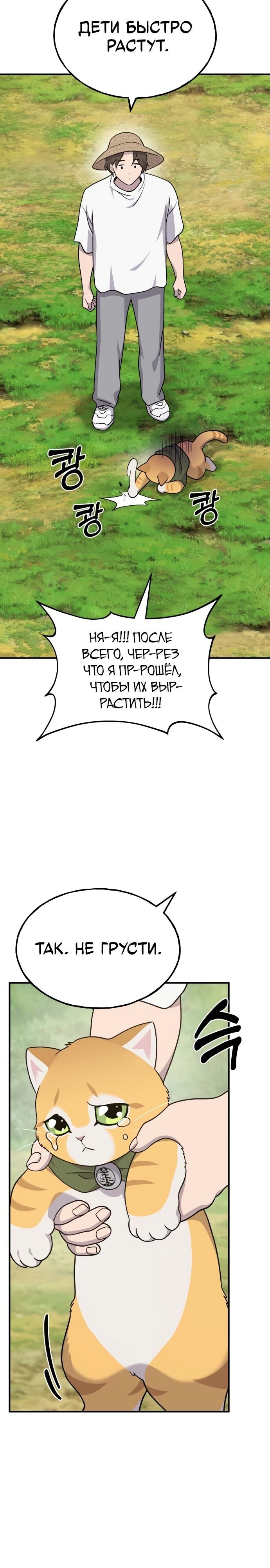 Страница 35