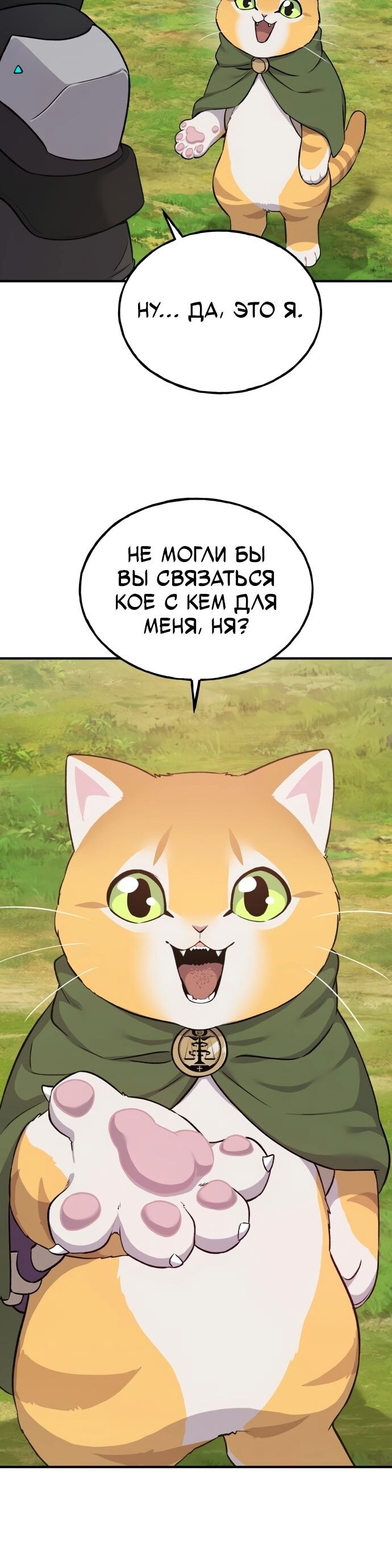 Страница 46