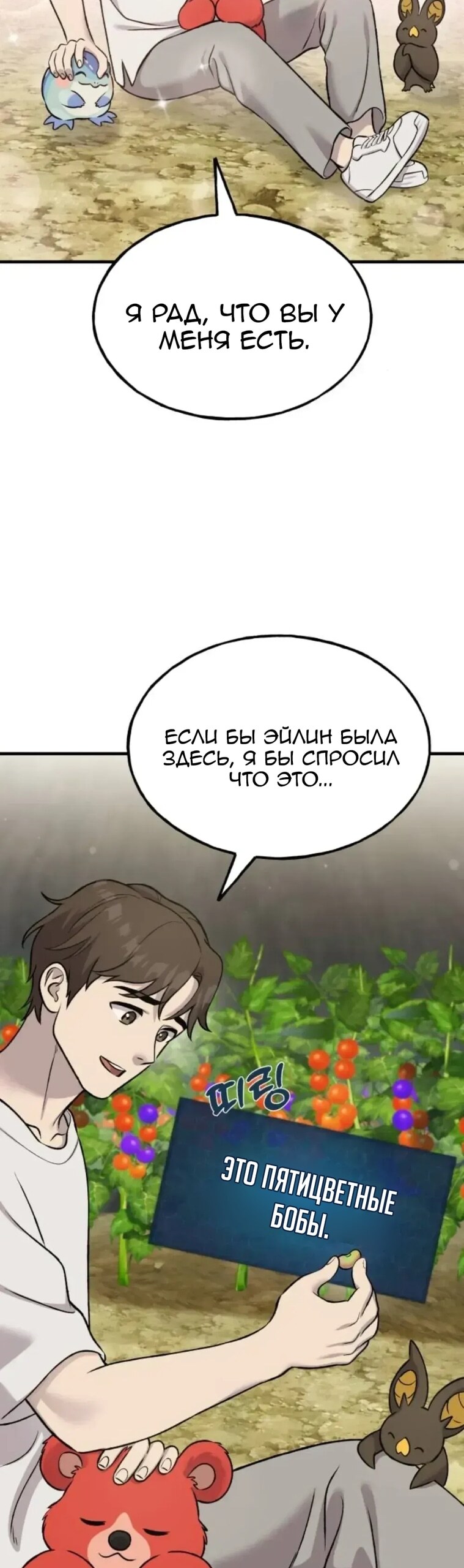 Страница 43