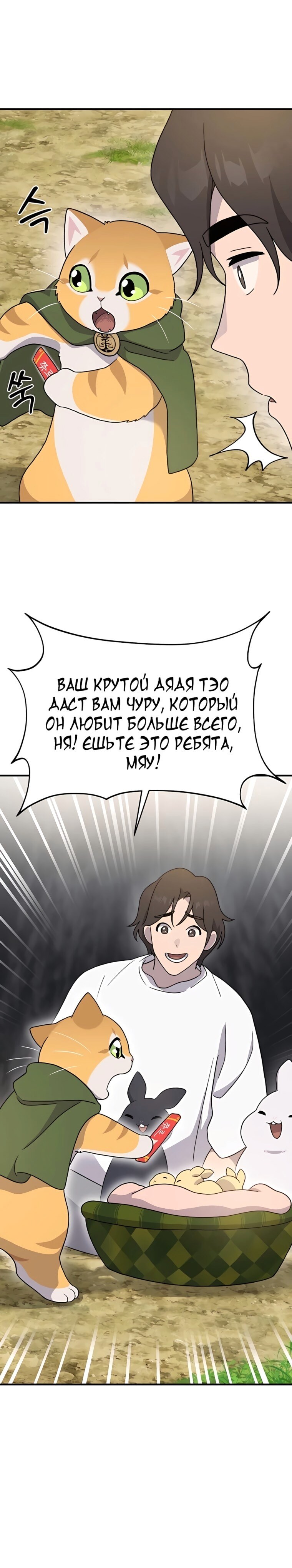 Страница 37