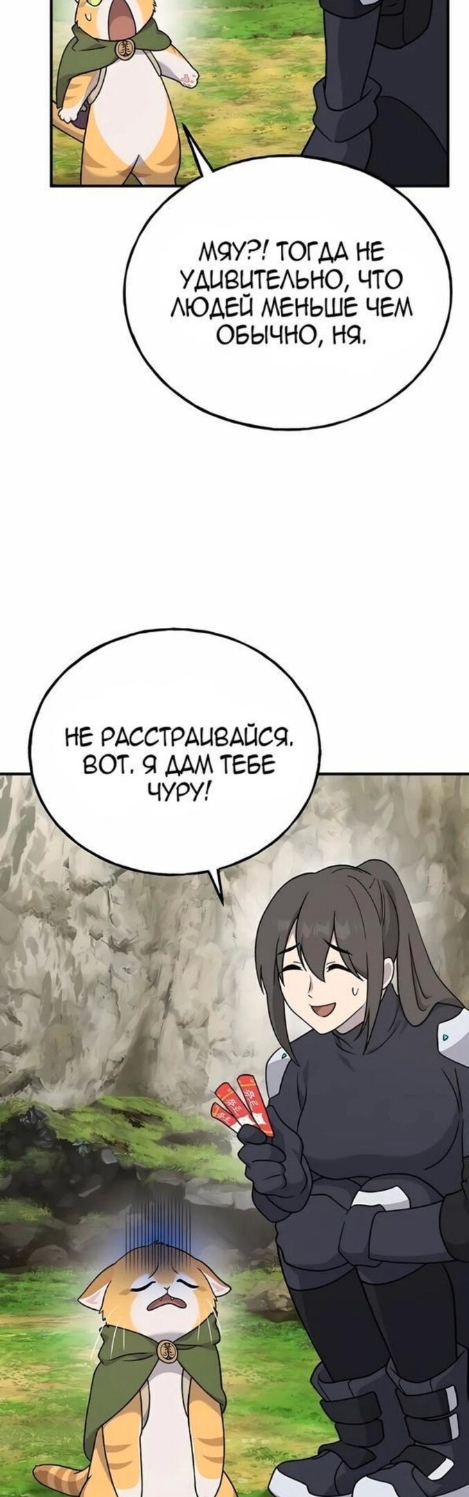 Страница 74