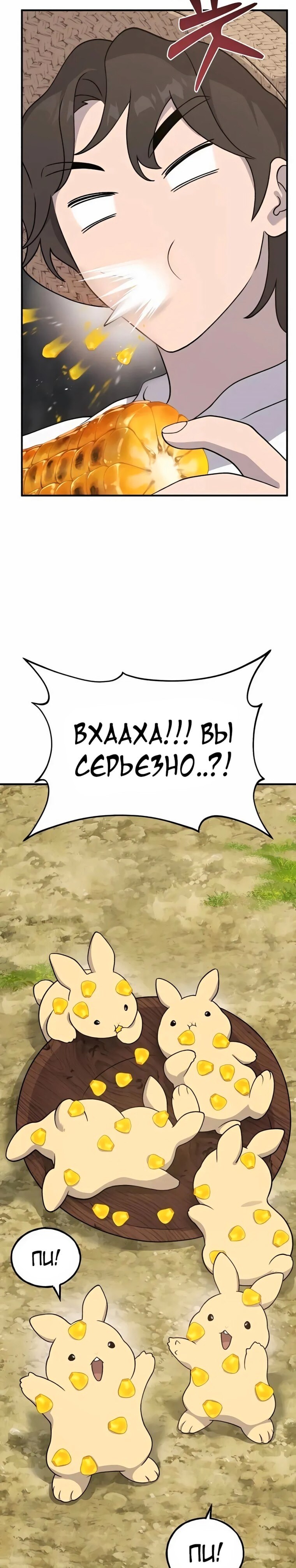 Страница 24