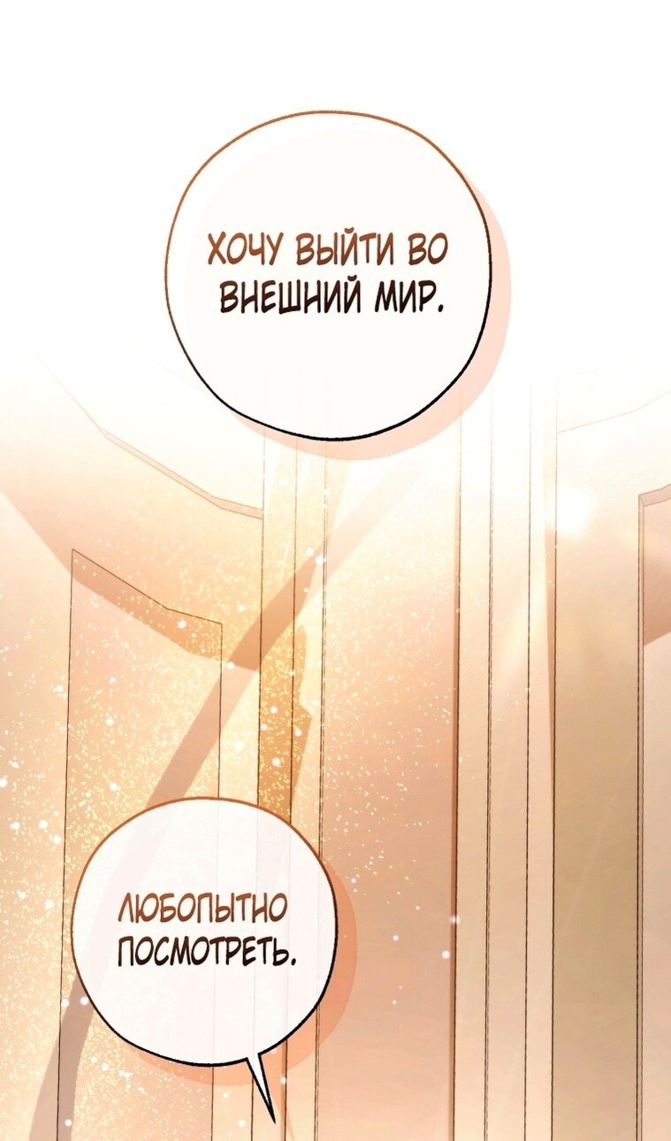 Страница 65