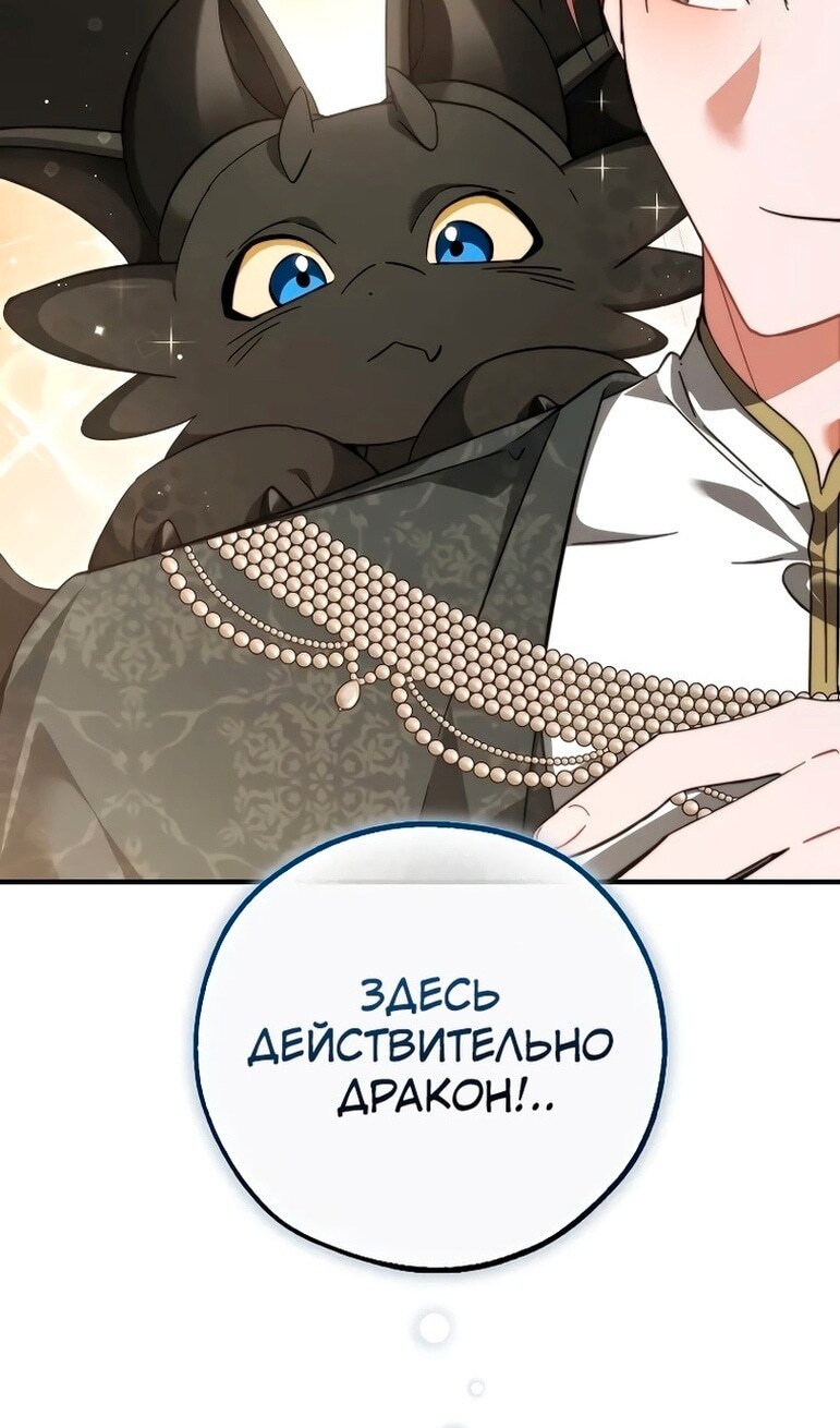 Страница 96