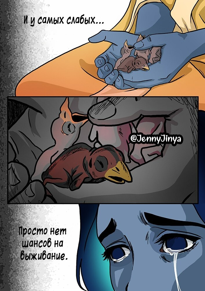 Страница 6