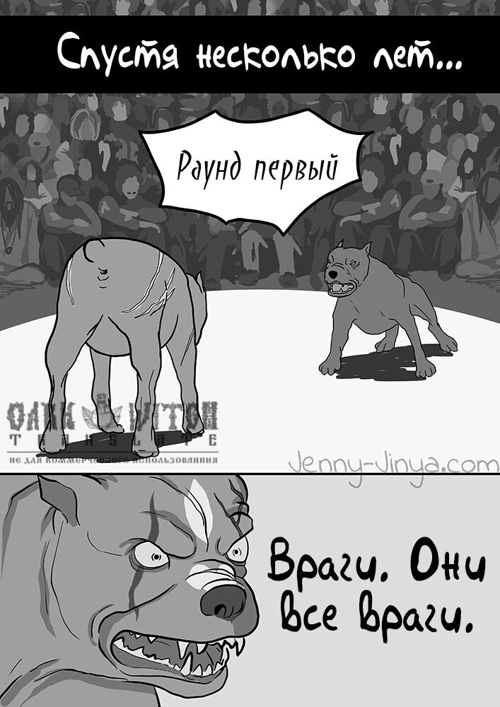 Страница 5