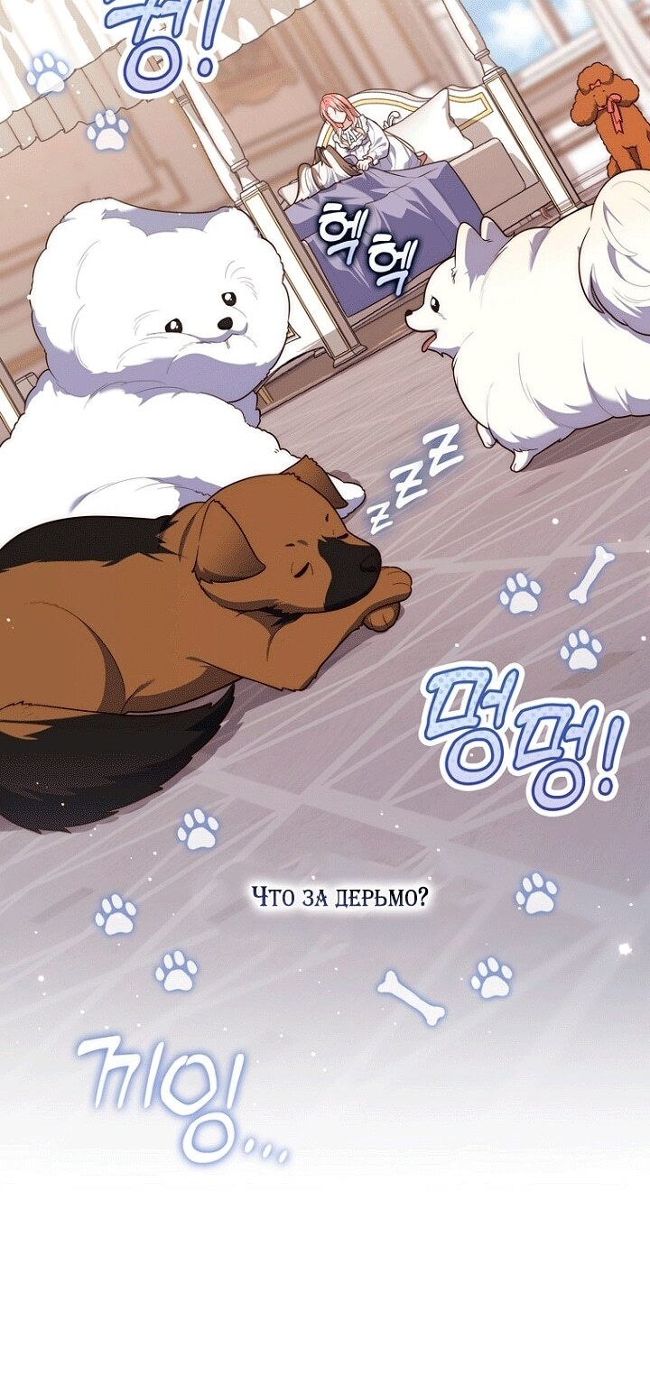 Страница 71