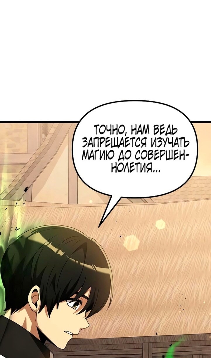 Страница 117