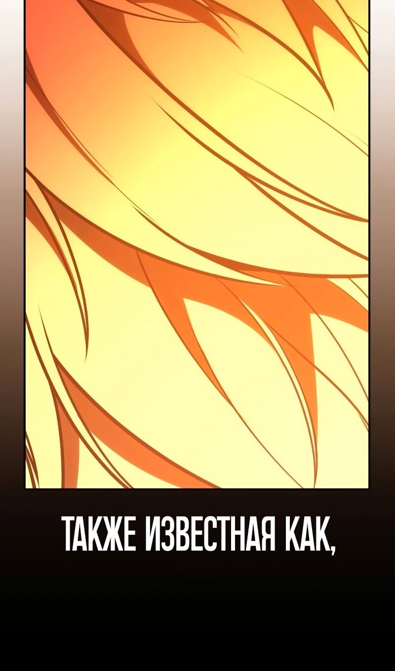 Страница 177