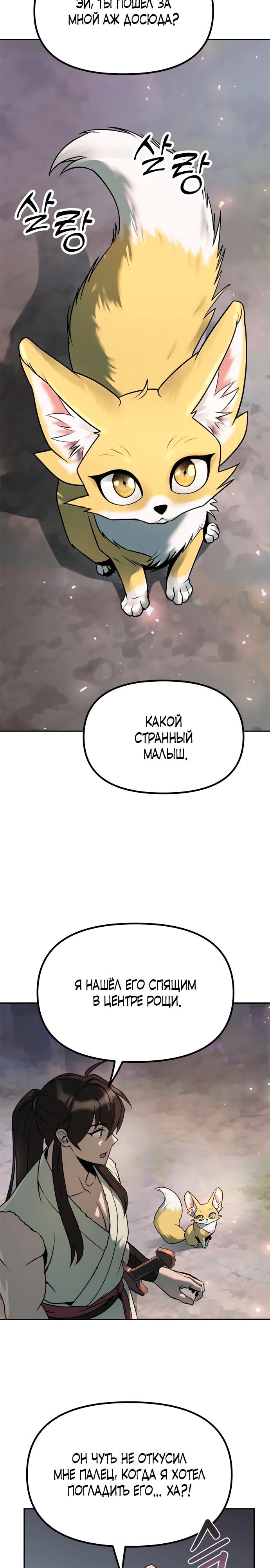 Страница 33