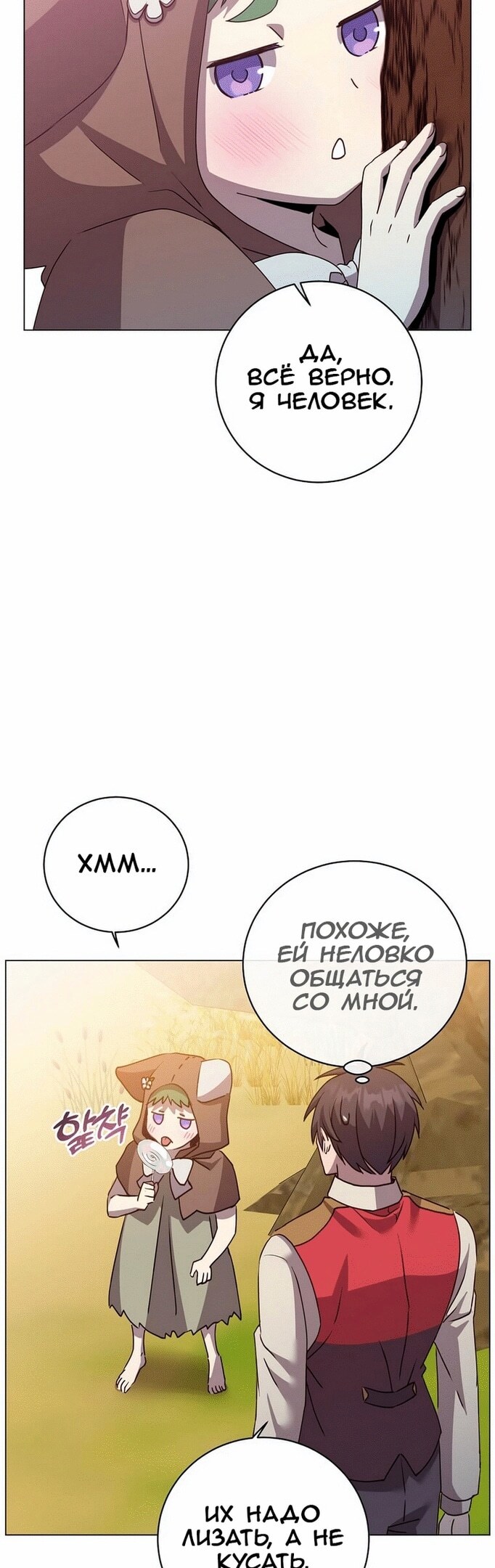 Страница 31