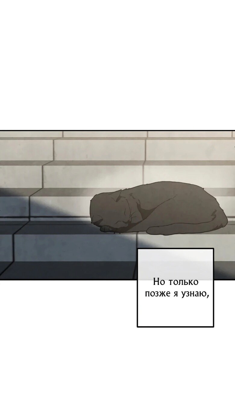 Страница 58