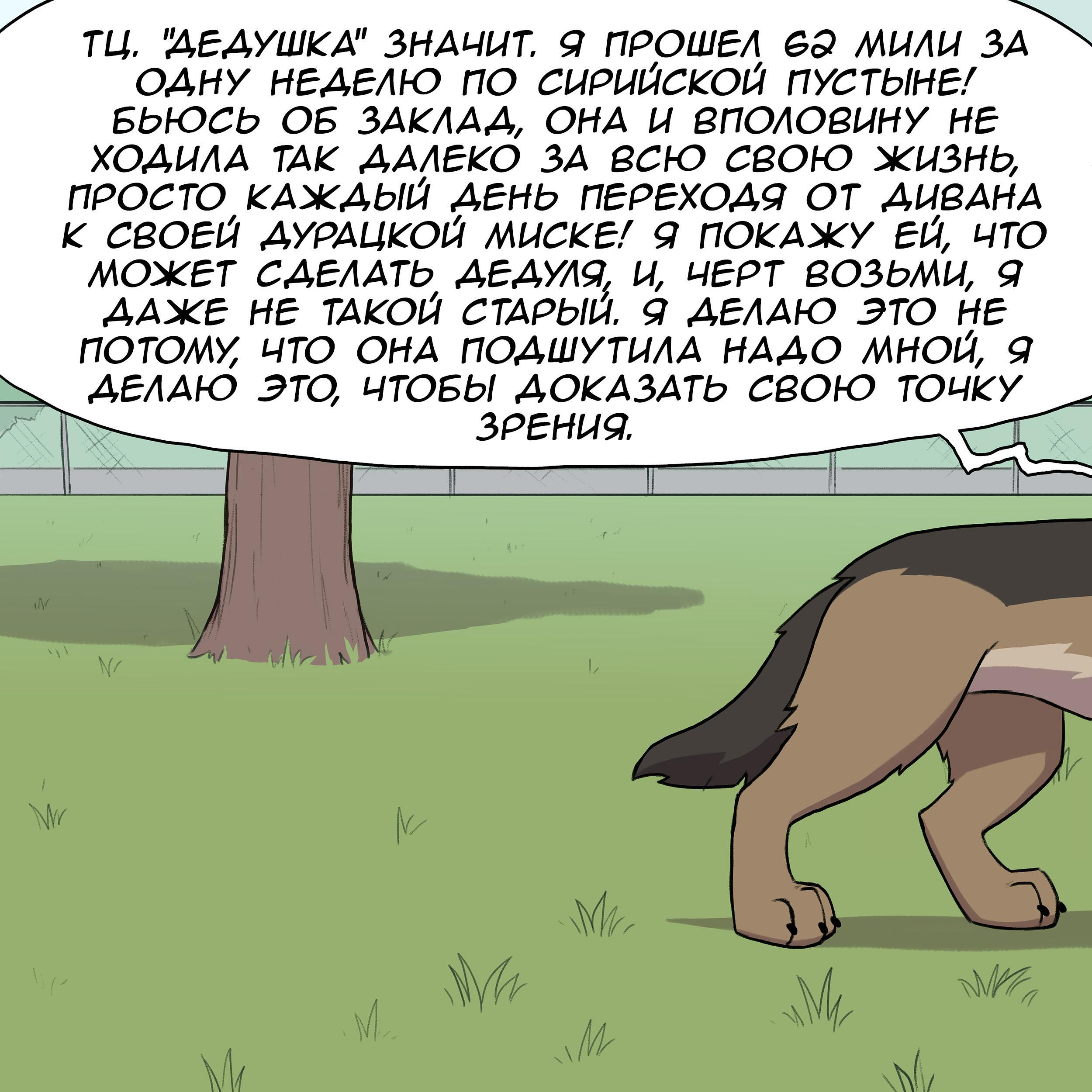 Страница 7