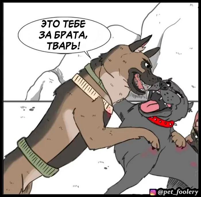 Страница 45