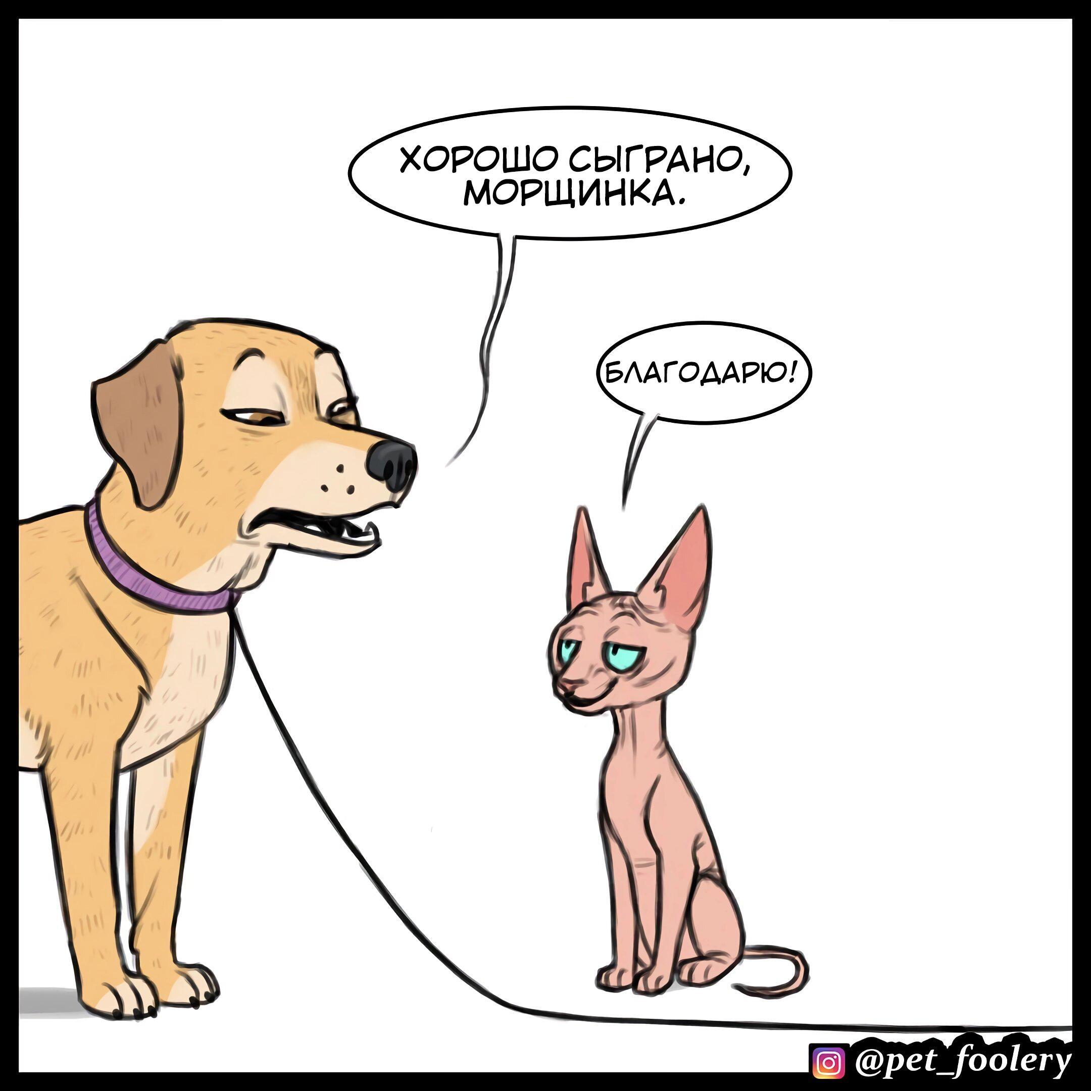 Страница 7