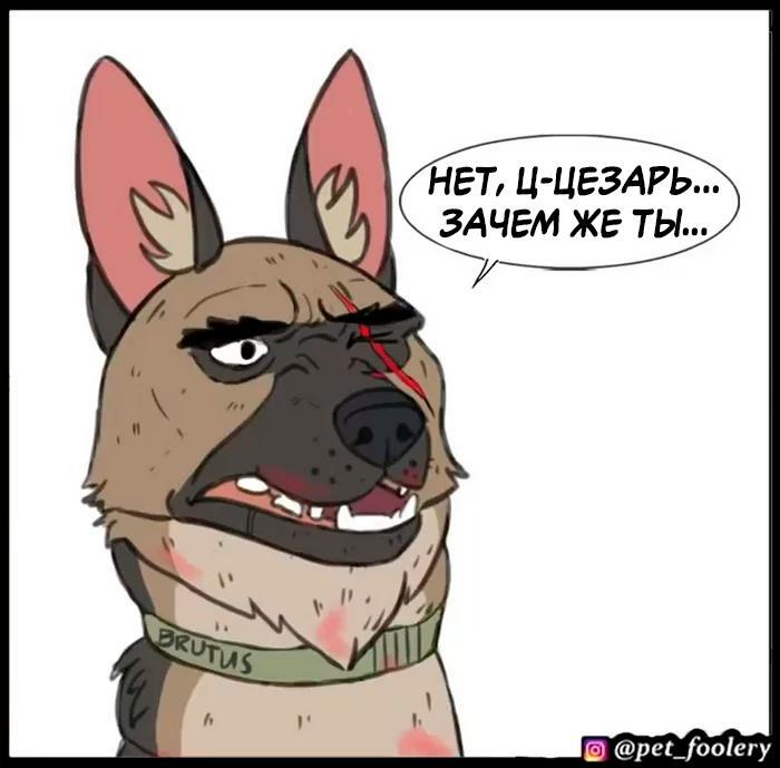 Страница 53