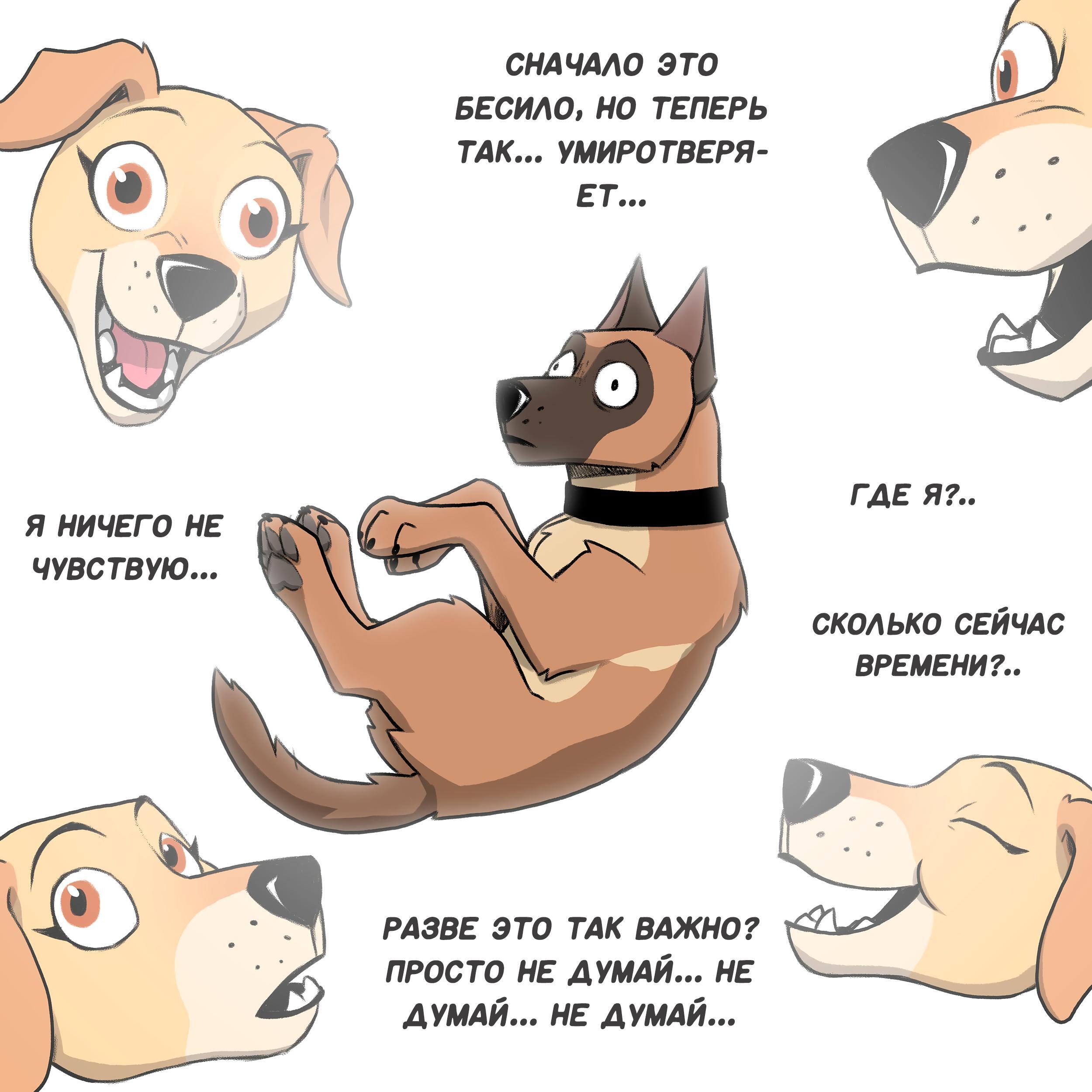 Страница 4