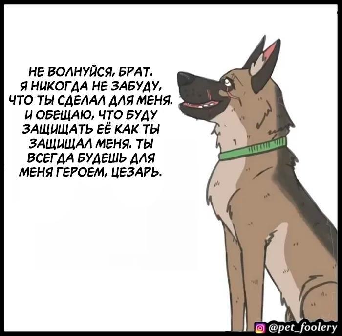 Страница 62