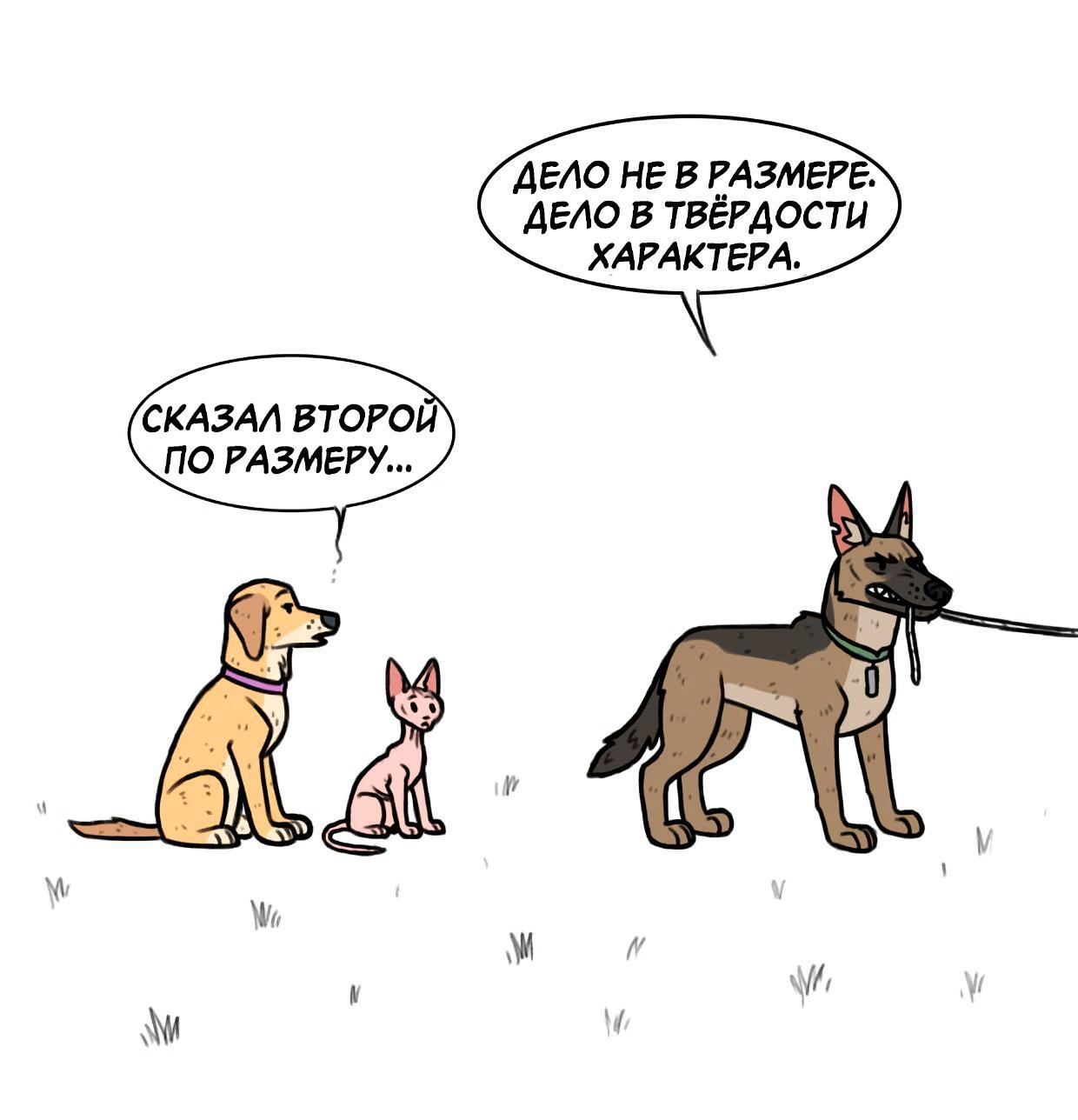 Страница 5
