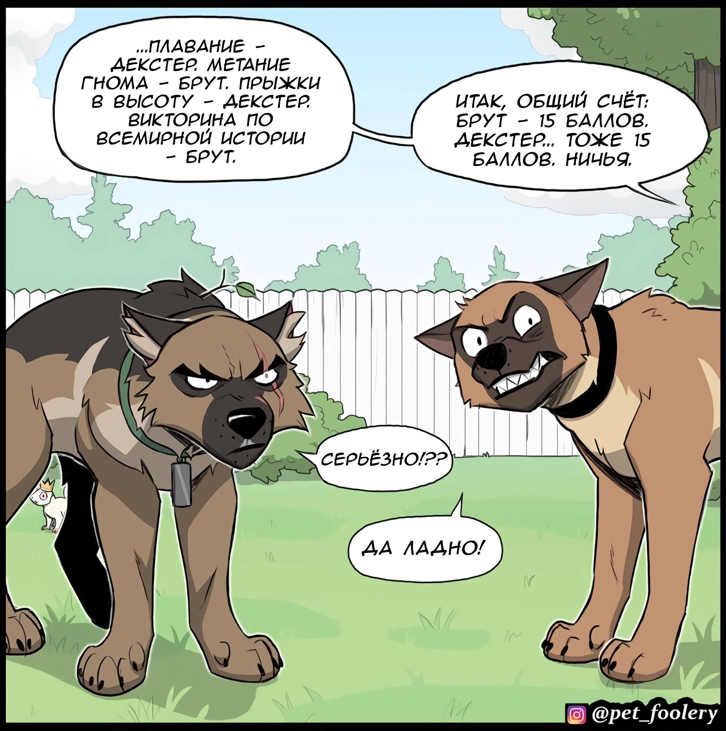 Страница 6
