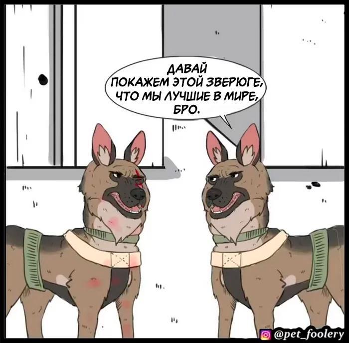 Страница 44