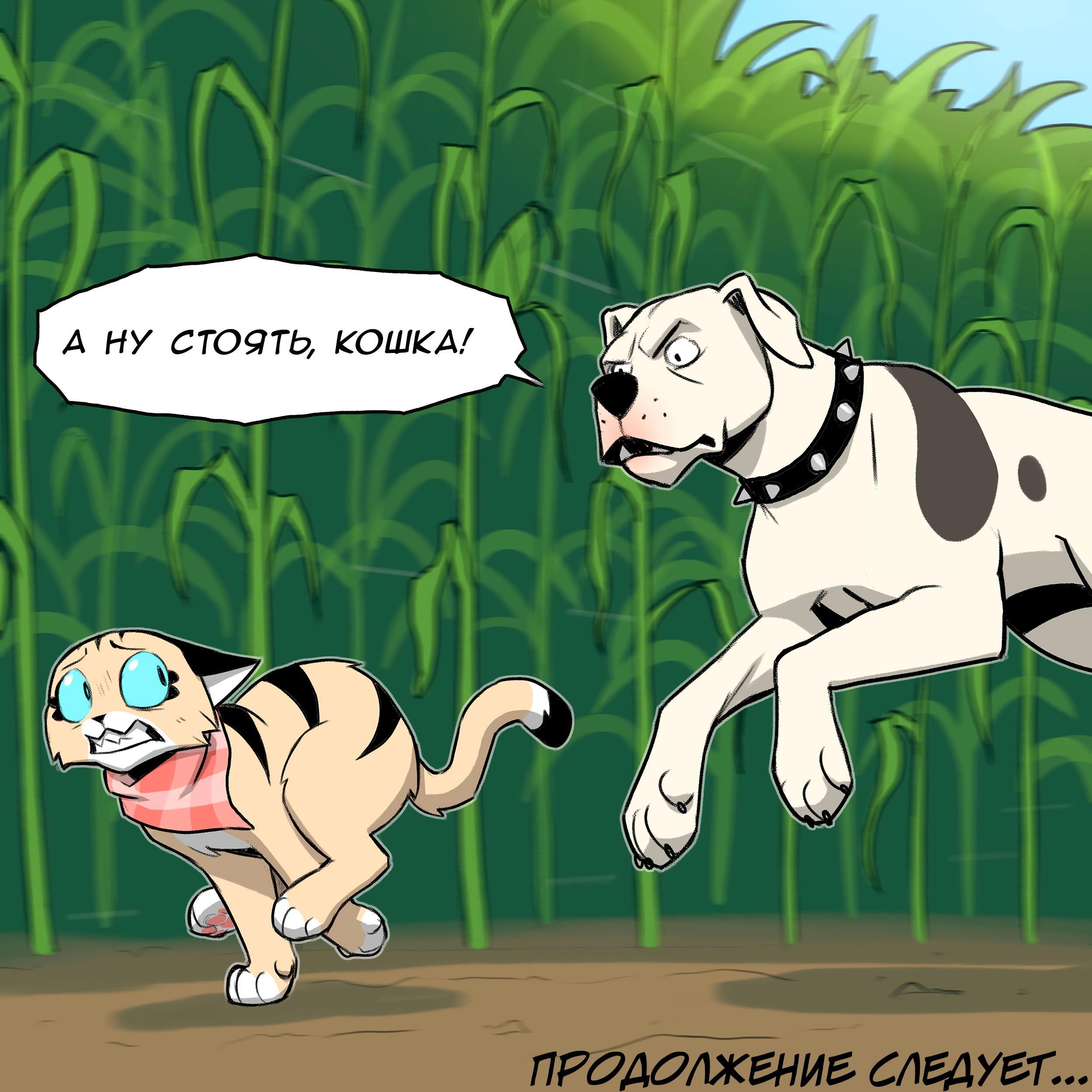 Страница 6