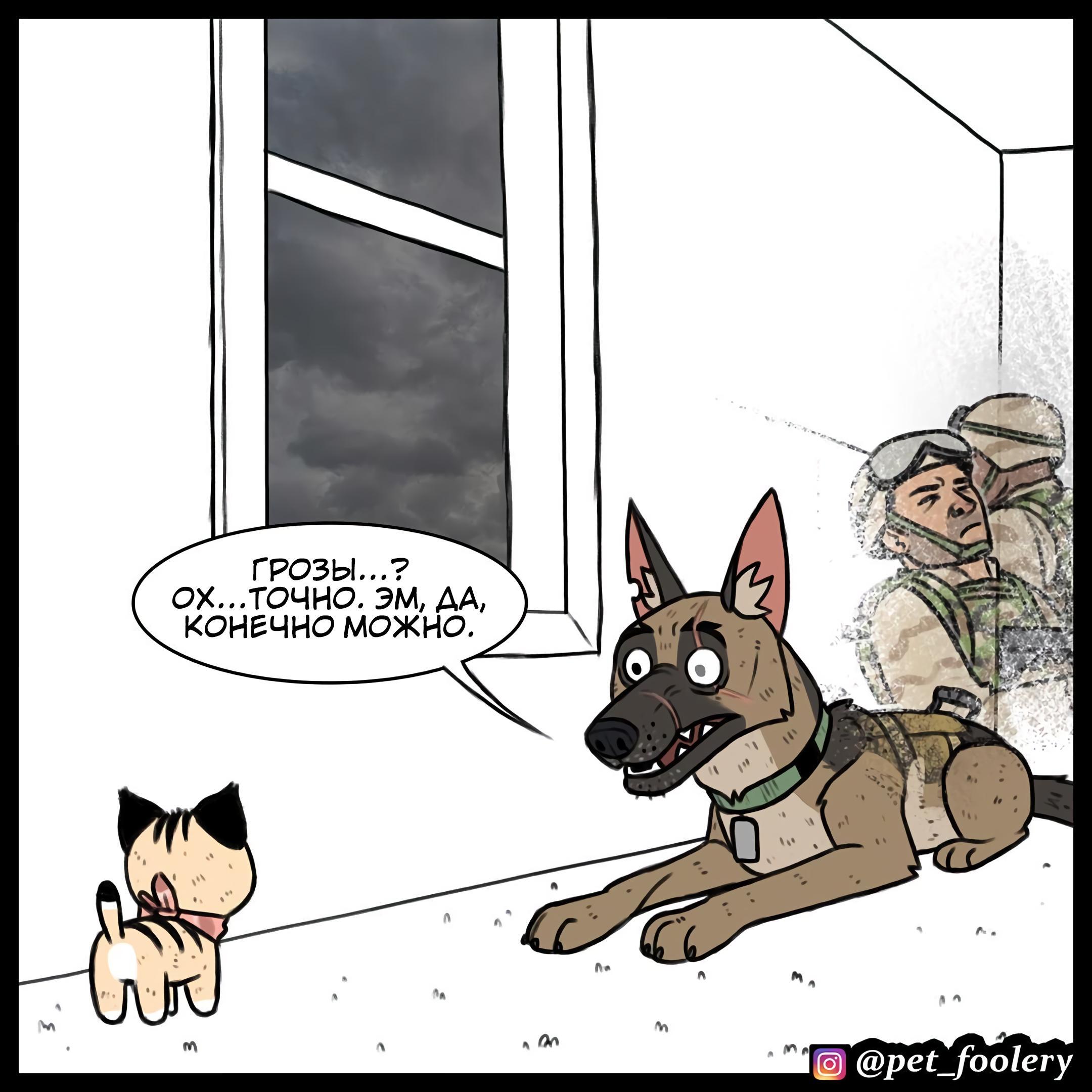 Страница 6