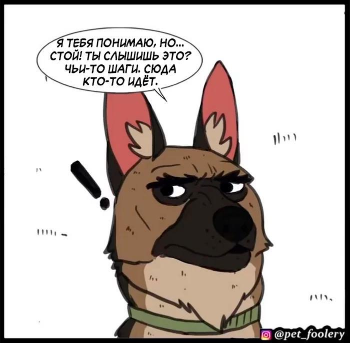 Страница 36