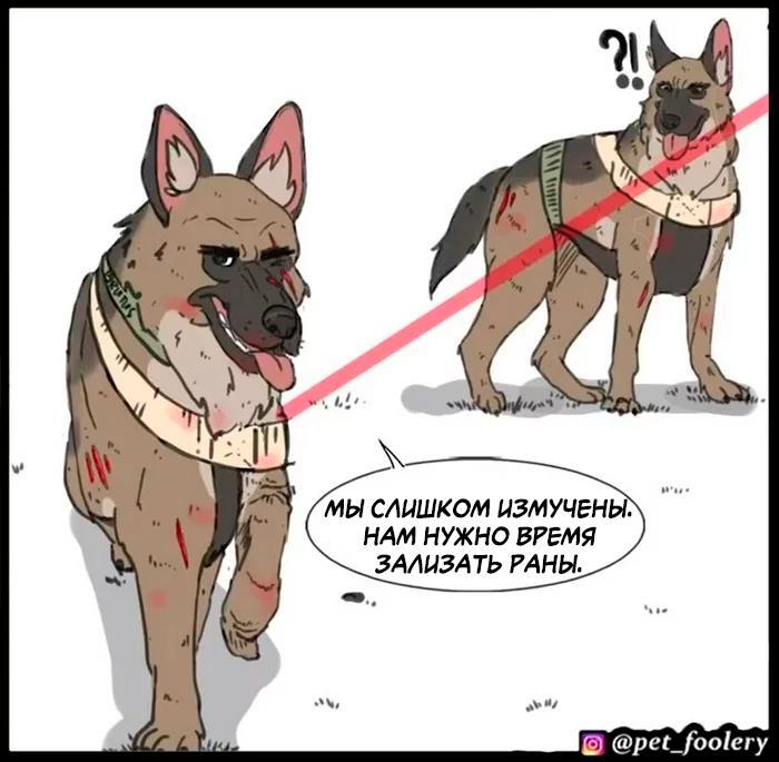Страница 50