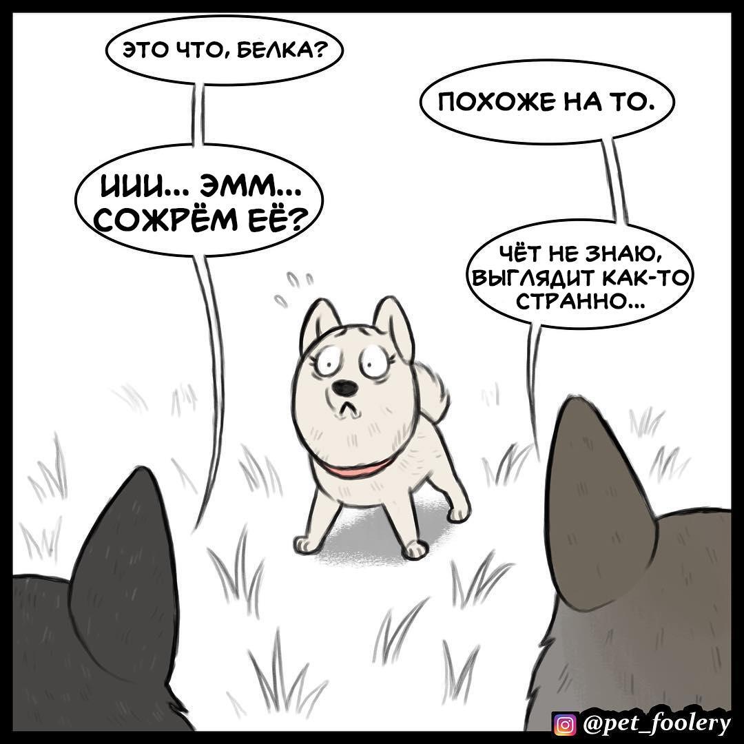Страница 7