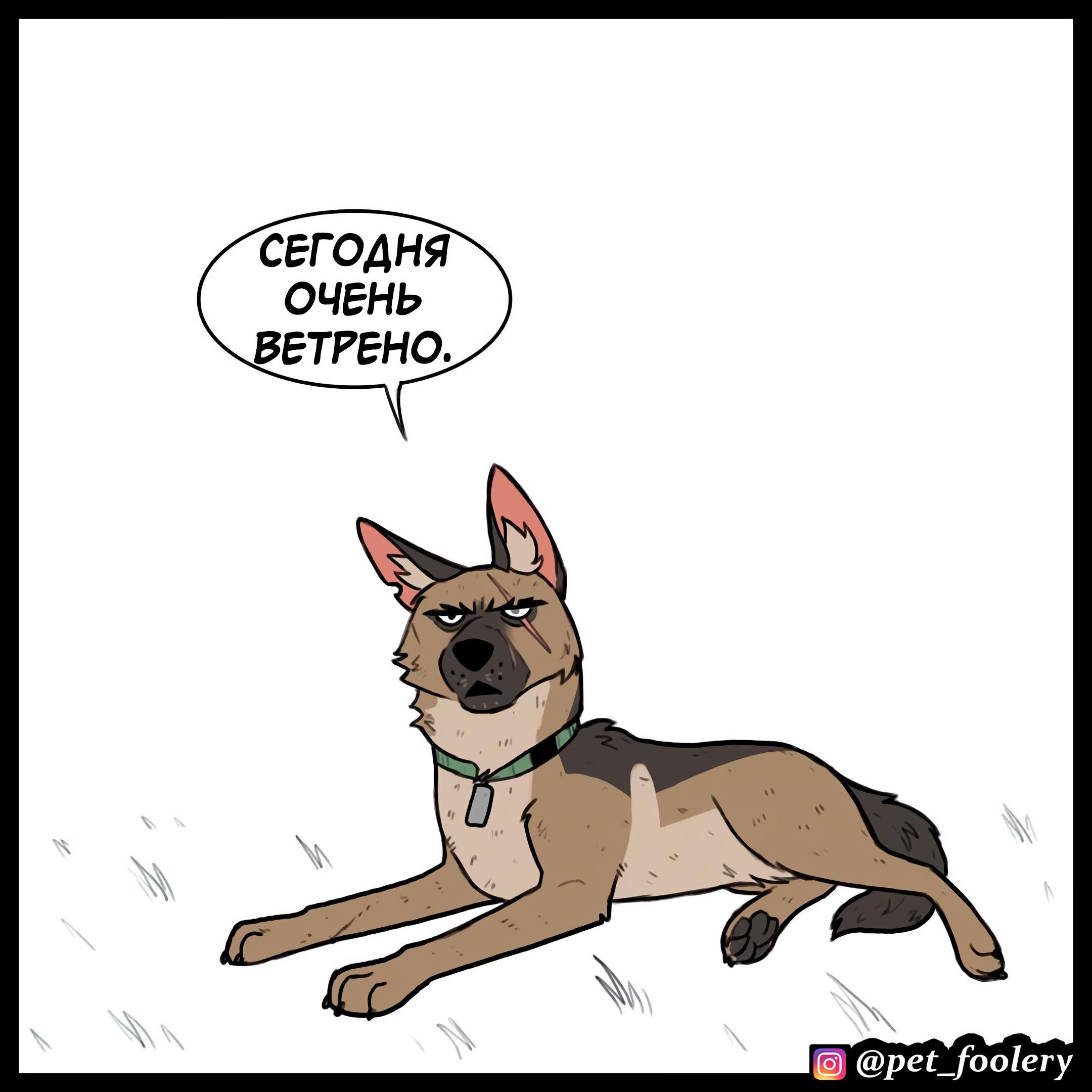 Страница 4