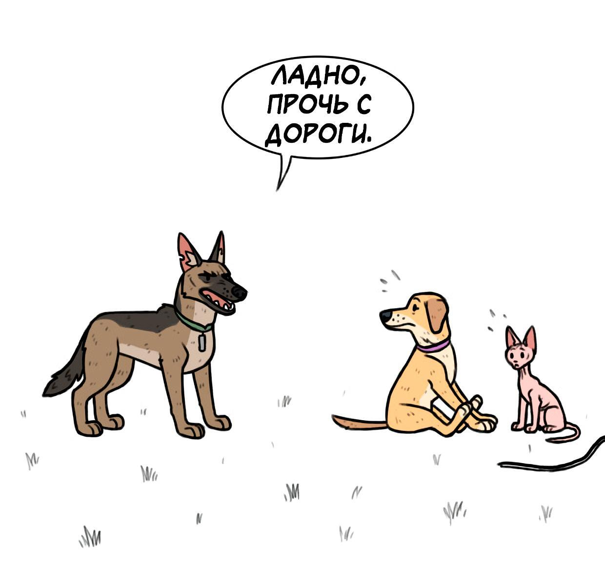 Страница 4
