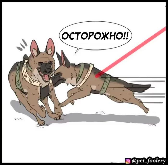 Страница 52
