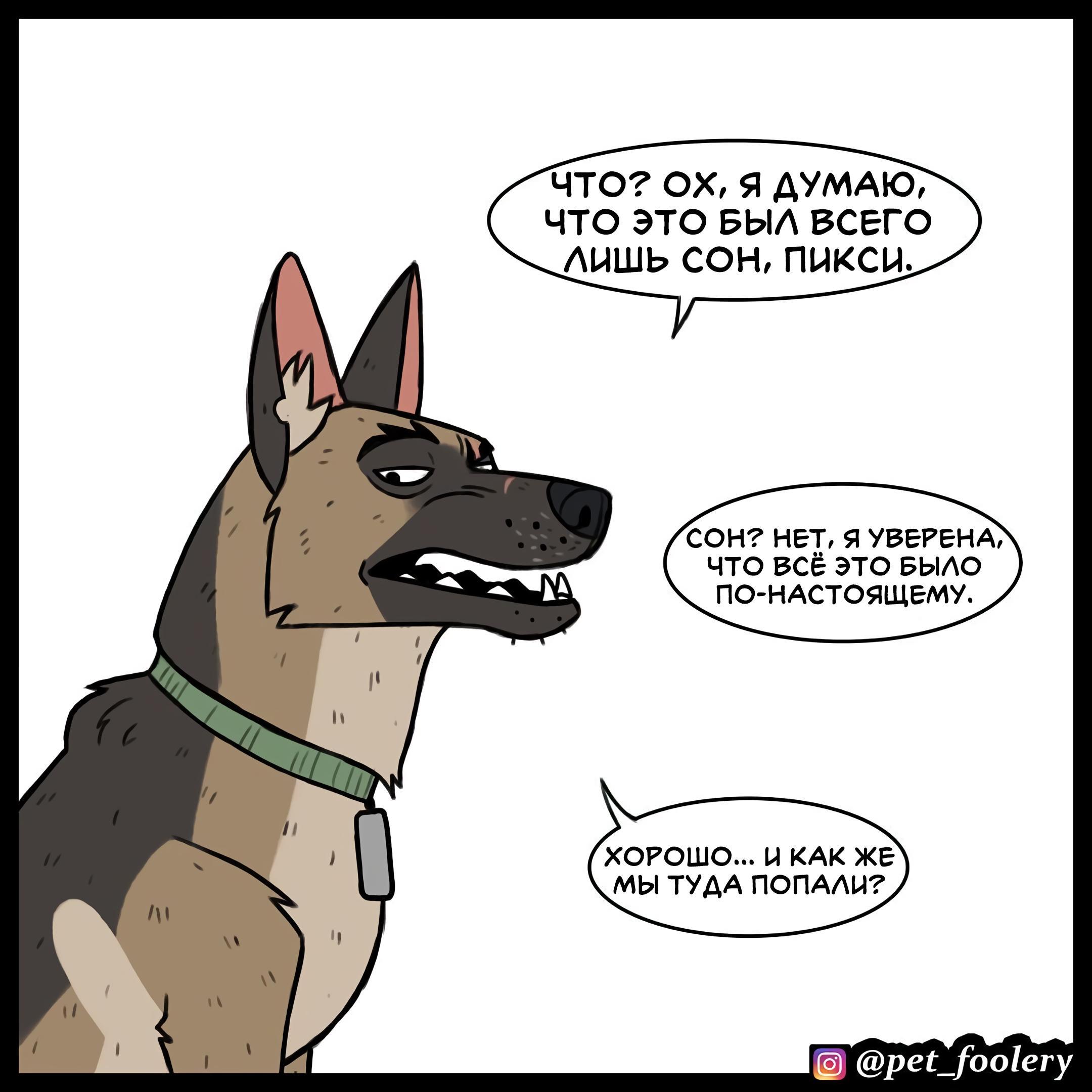 Страница 3
