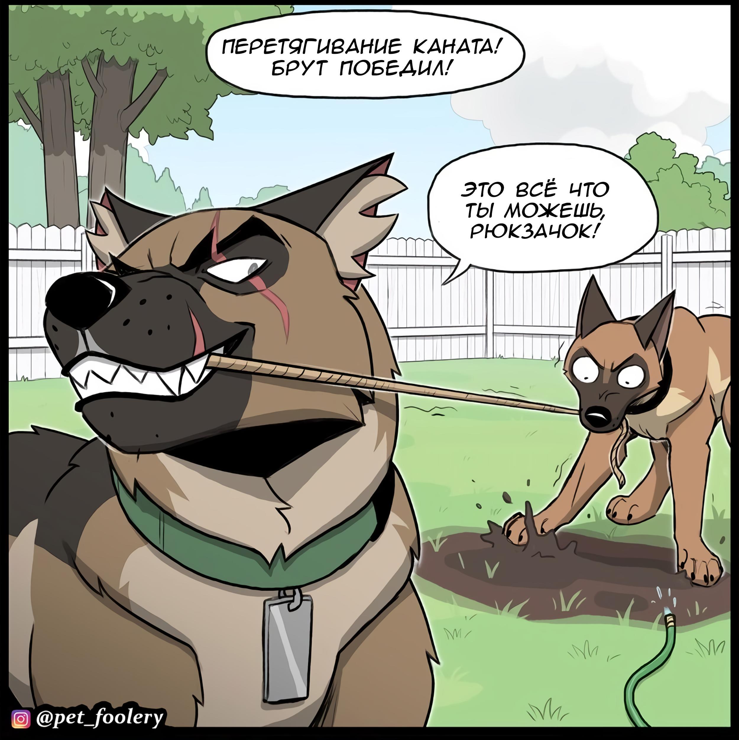 Страница 2