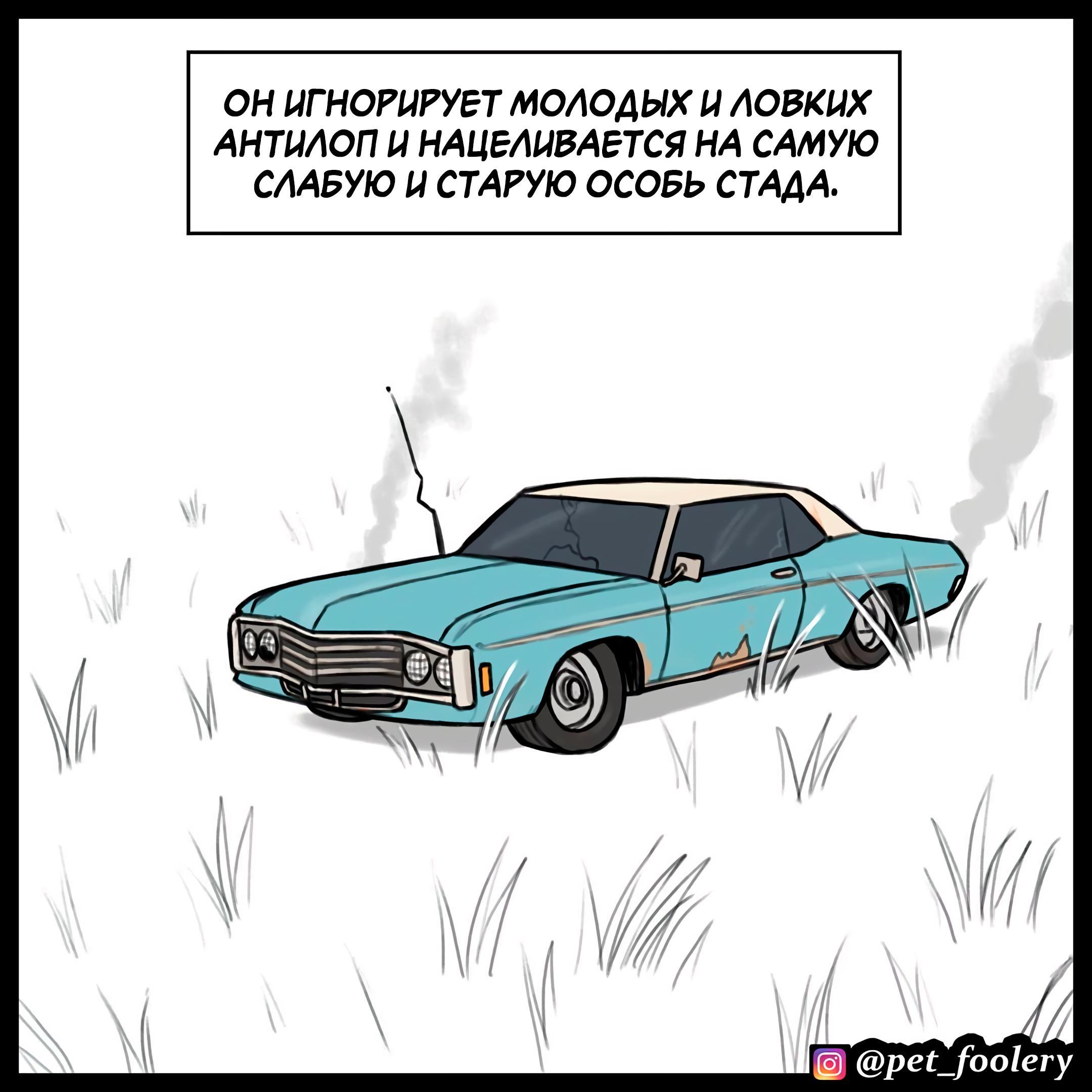 Страница 4