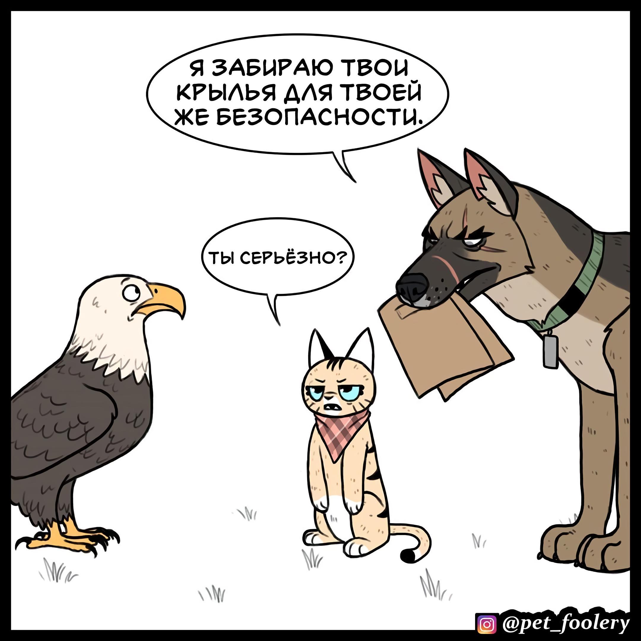Страница 6