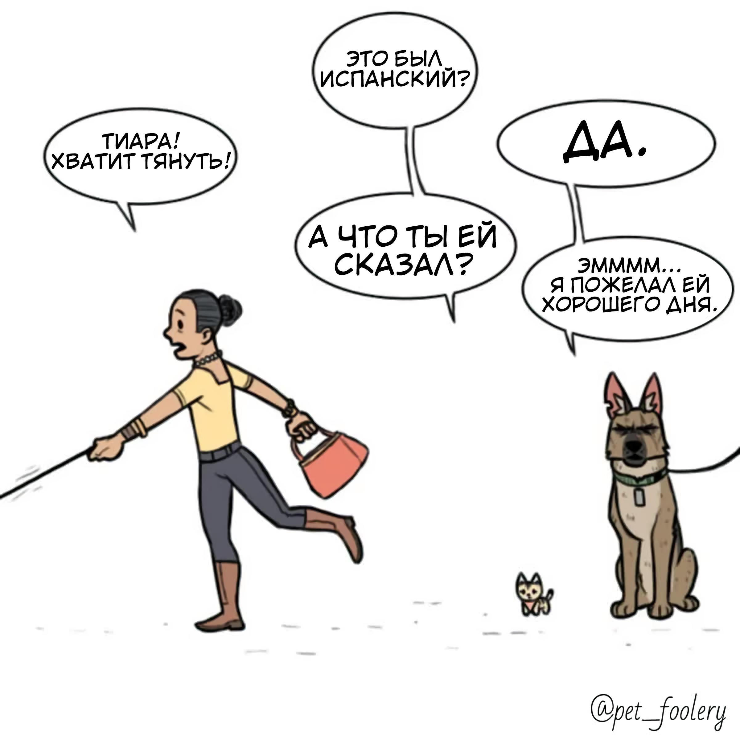 Страница 7