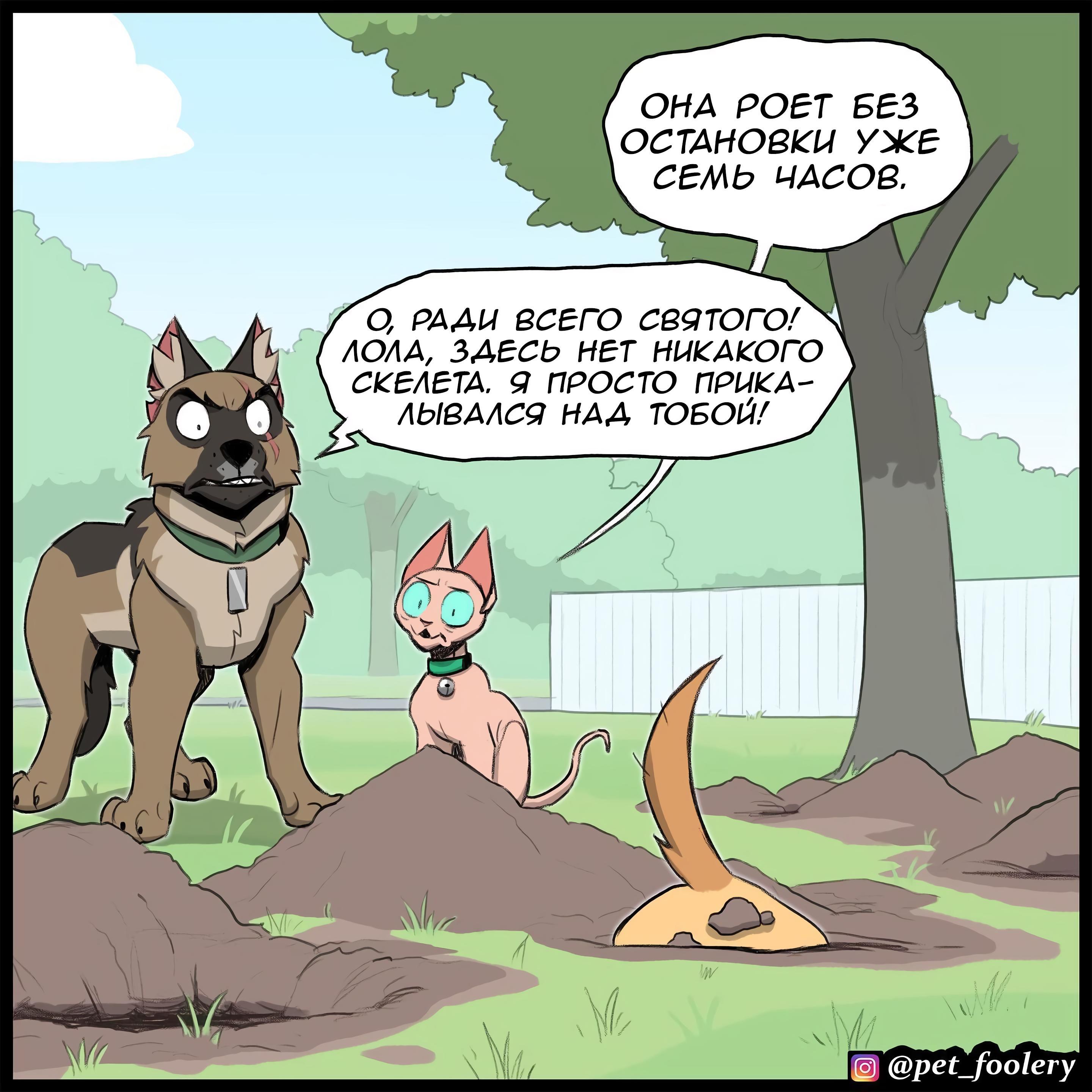 Страница 4